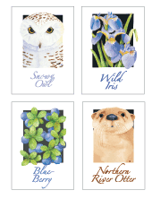 Nature of Alaska cards from Marshall Arts Design