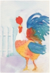 rooster