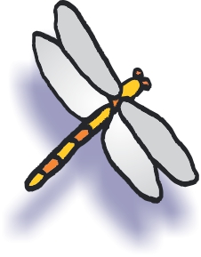 Dragon Fly