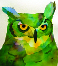 Owl