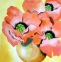 poppies in brass pot