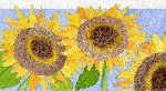 sunflowers